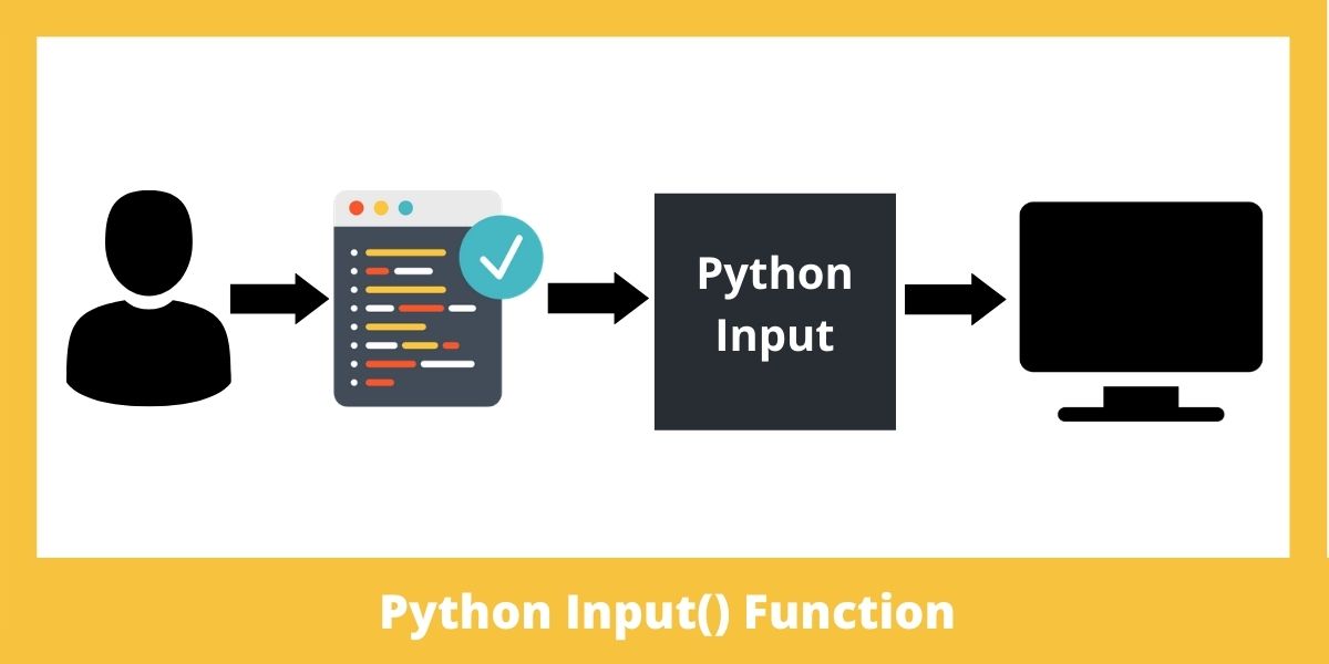 input() in Python