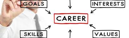 career coach or expert