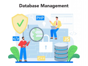 Best Database Management Systems For Software Developers
