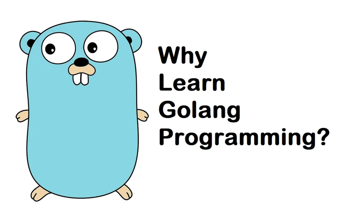 why learn golang programming