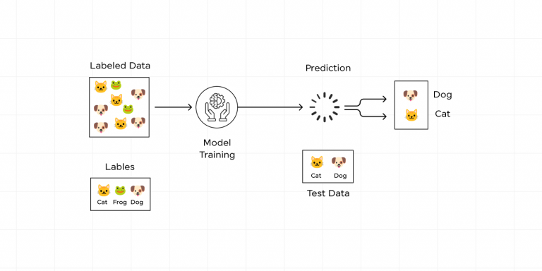 Top 15 Data Science Projects in Python [with Source Code]