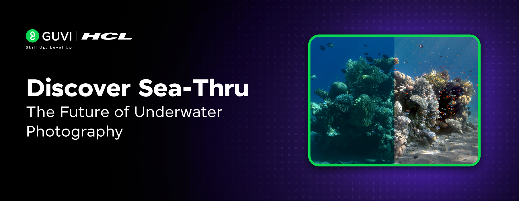 Discover Sea-Thru The Future of Underwater Photography