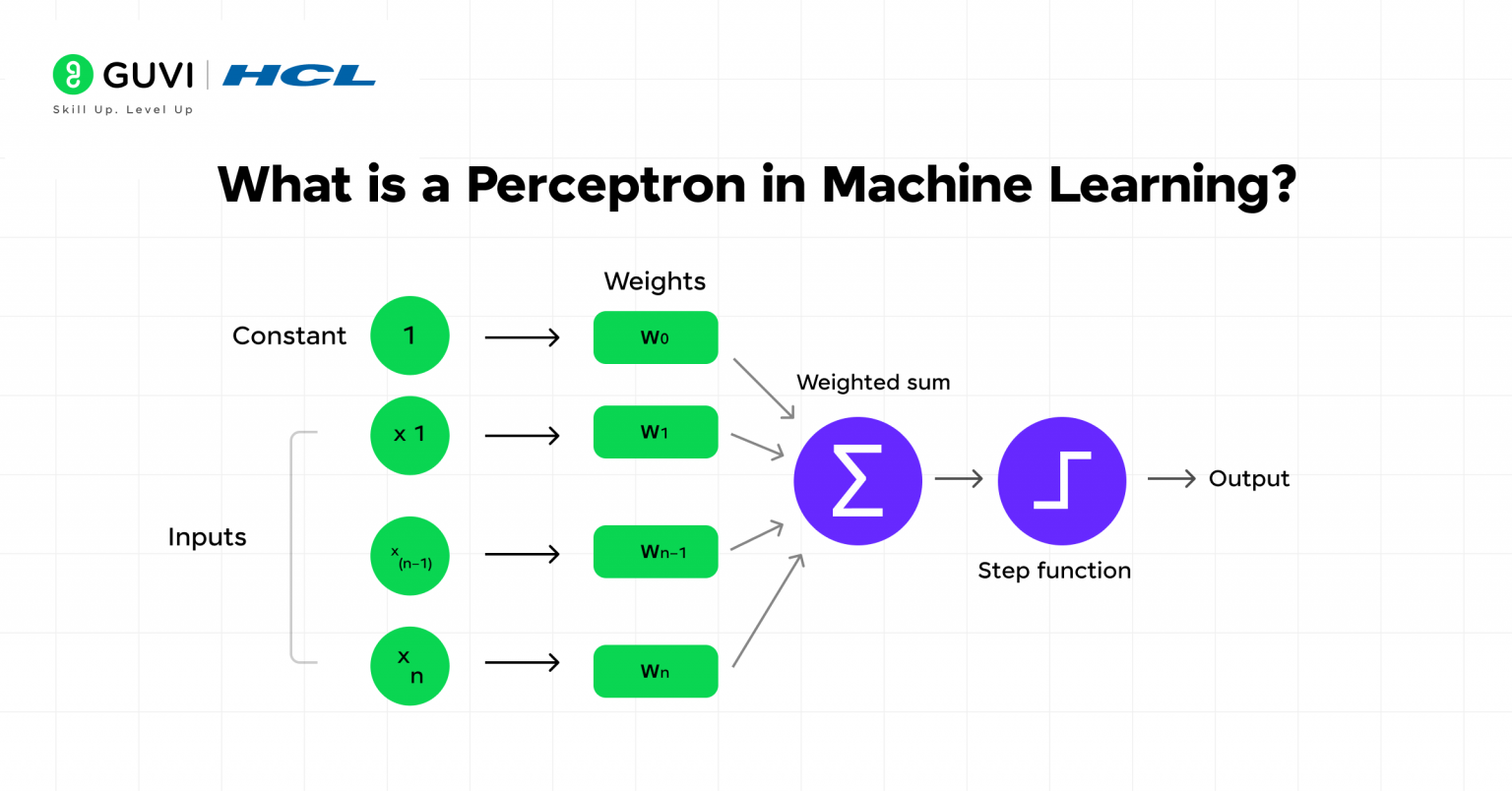 What is Perceptron in Machine Learning? Guide for Beginners