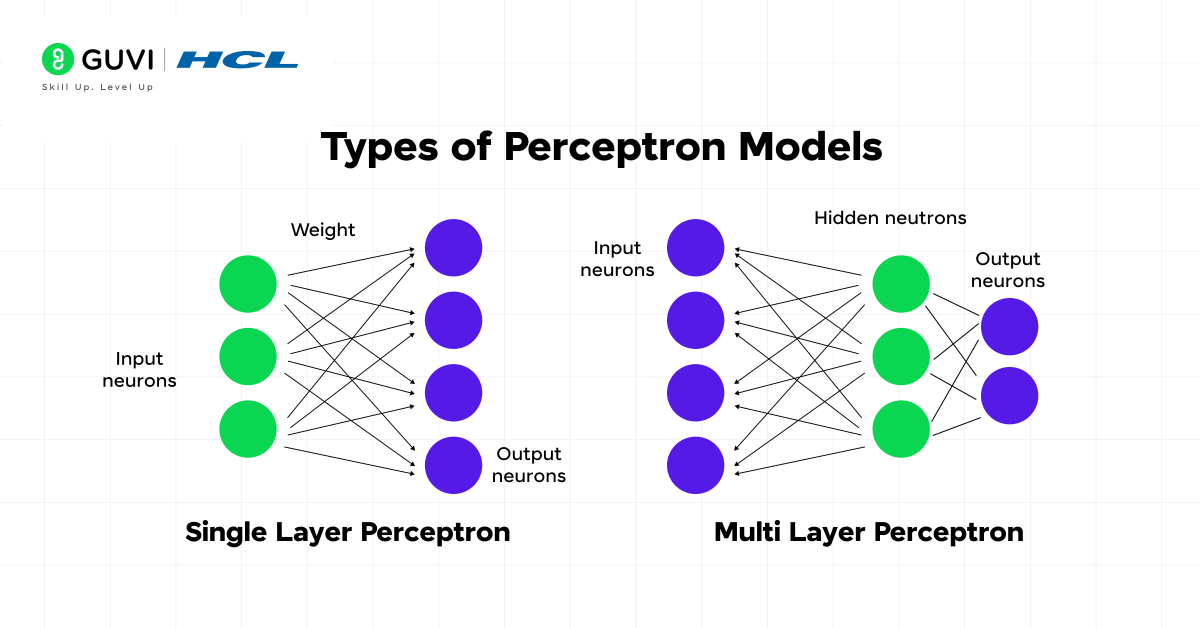 What is Perceptron in Machine Learning? Guide for Beginners