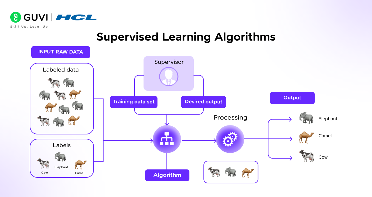 The Machine Learning Cheat Sheet [2025 Guide]