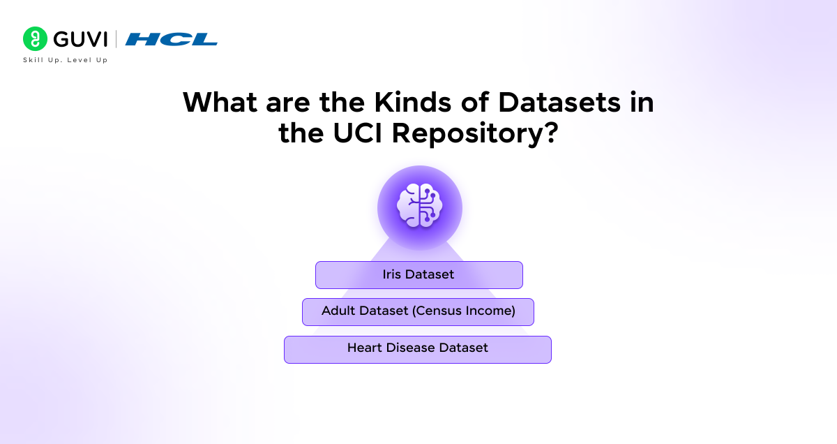 UCI Machine Learning Repository: A Comprehensive Guide 2 What are the Kinds of Datasets in the UCI Repository?