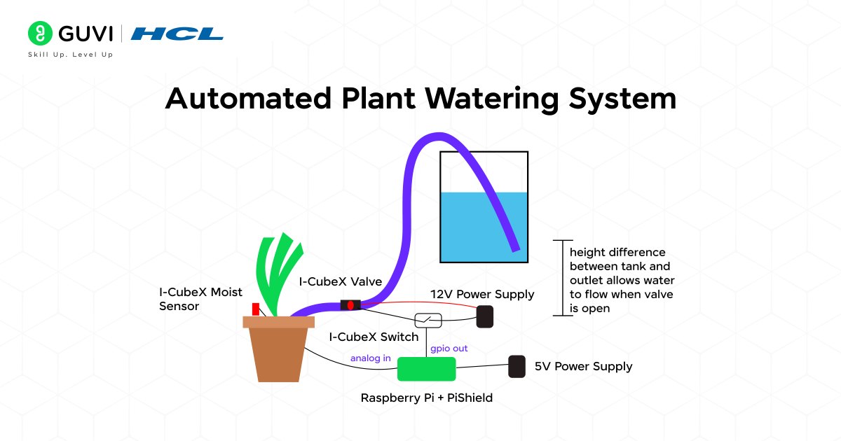Automated Plant Watering System