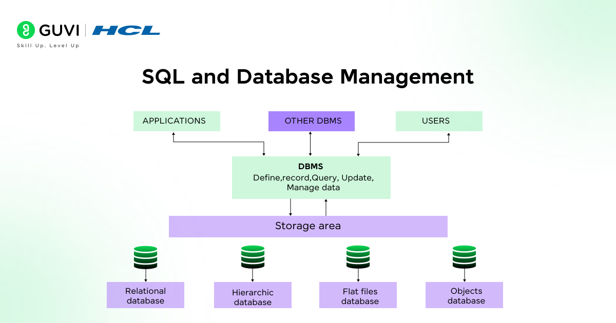 SQL and Database Management