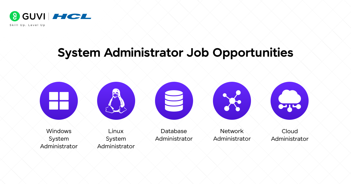 What Is a System Administrator? Roles, Skills, Salary & Career Guide 2 System Administrator Job Opportunities