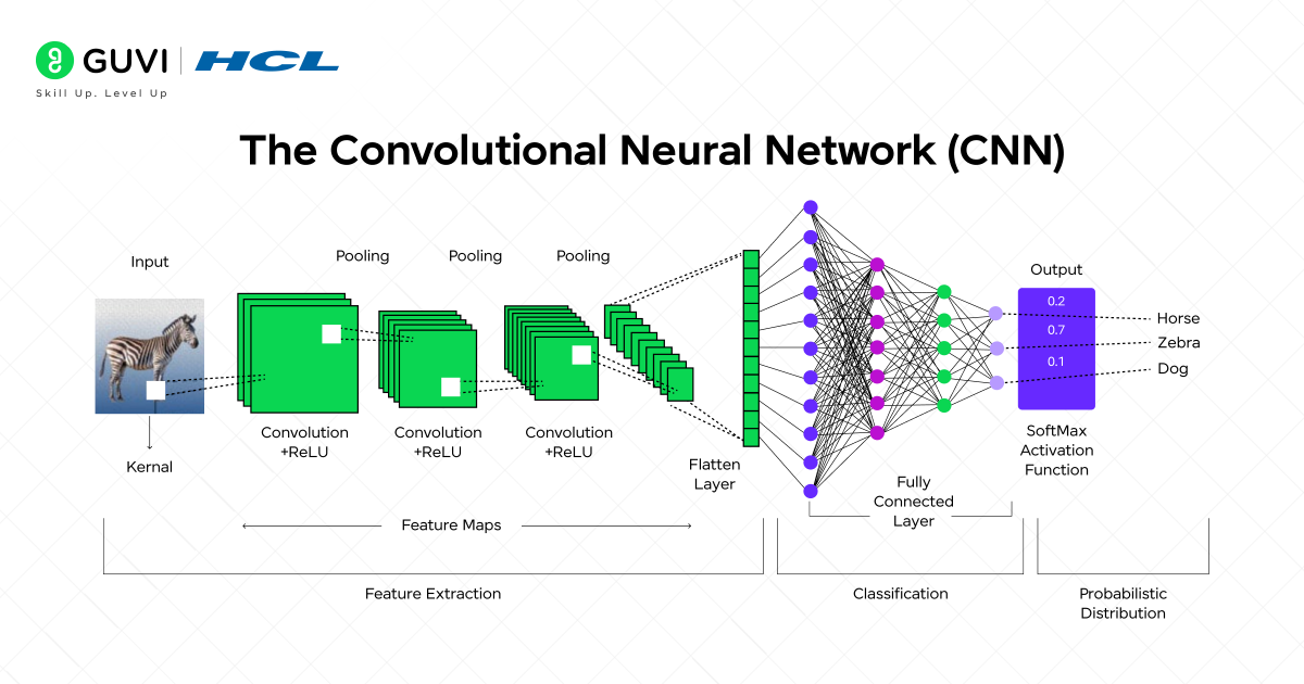 What is an Artificial Neural Network? The Simple Guide You Need (2025) 5 The Convolutional Neural Network CNN