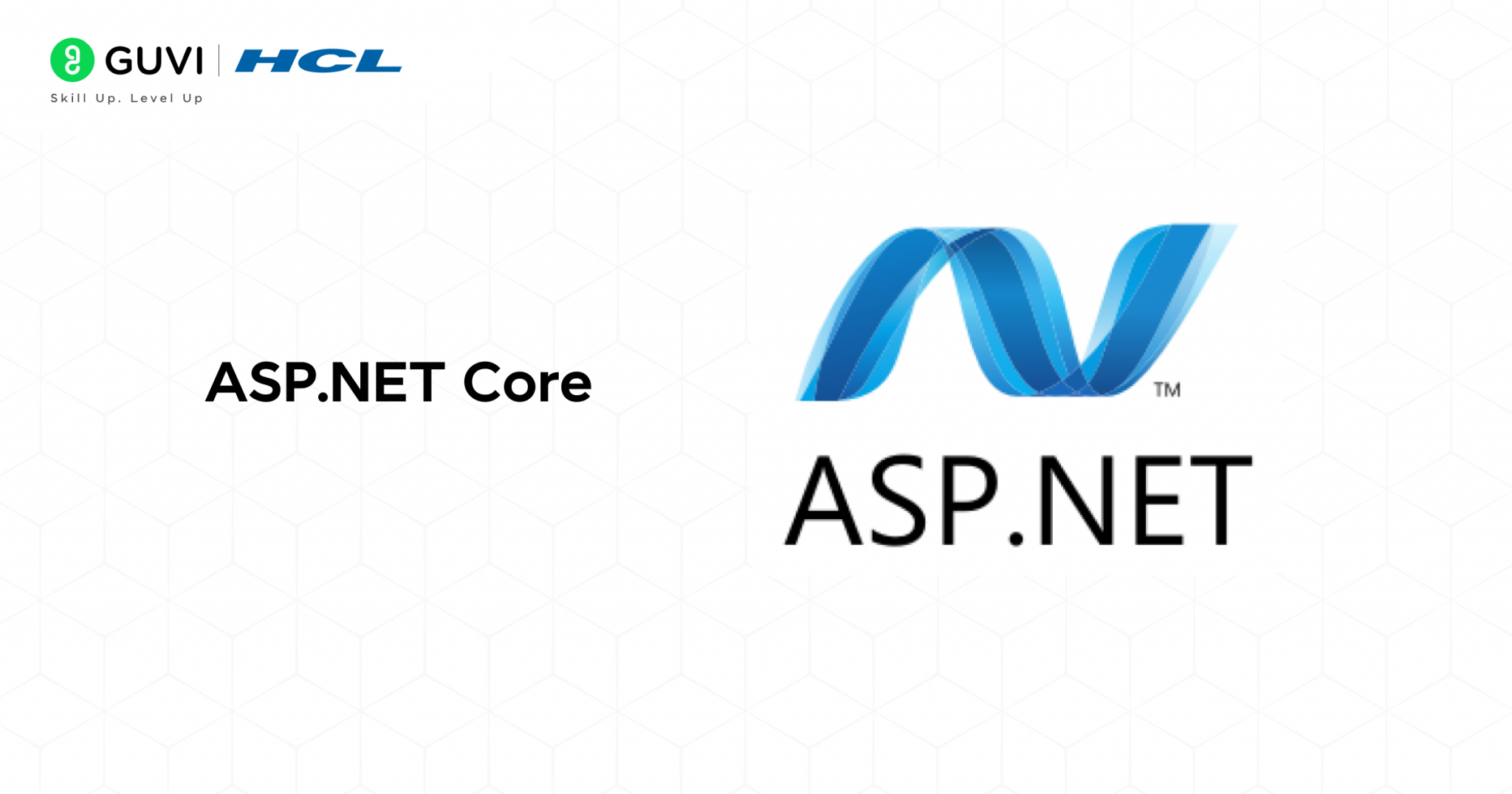 Who is a .NET Full-Stack Developer? How To Become One?