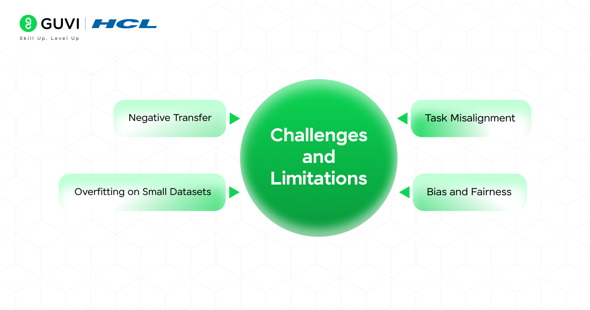 Challenges and Limitations