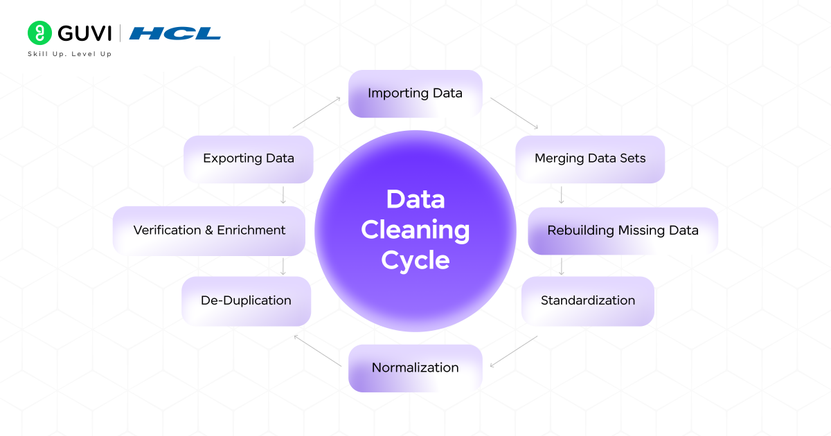 Infographic showing data cleaning cycle.