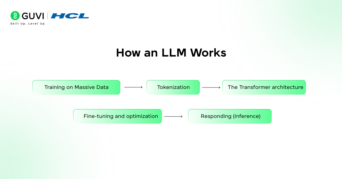 How an LLM Works