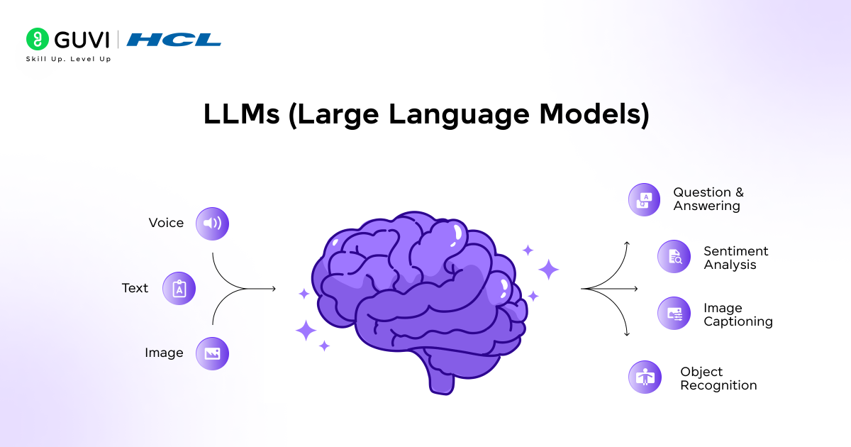 LLMs Large Language Models