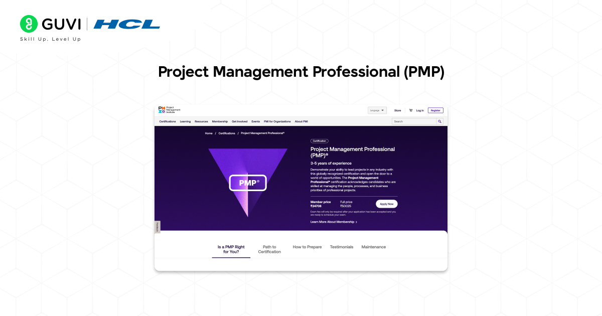Screenshot of the Project Management Professional.