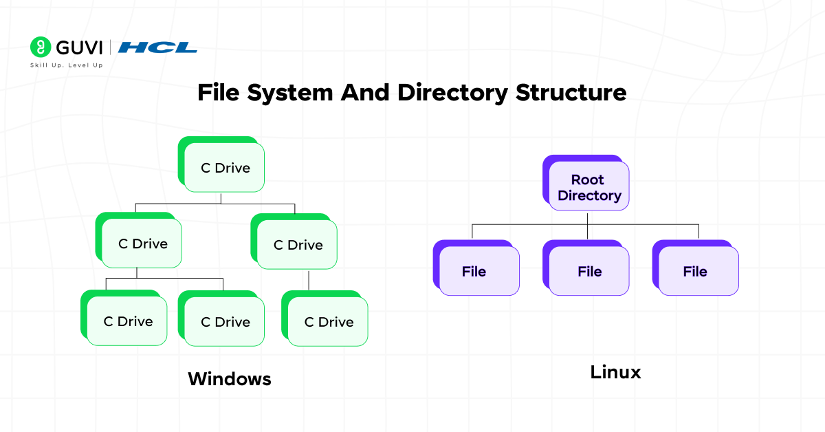 Infographic comparing the file system of windows and unix .