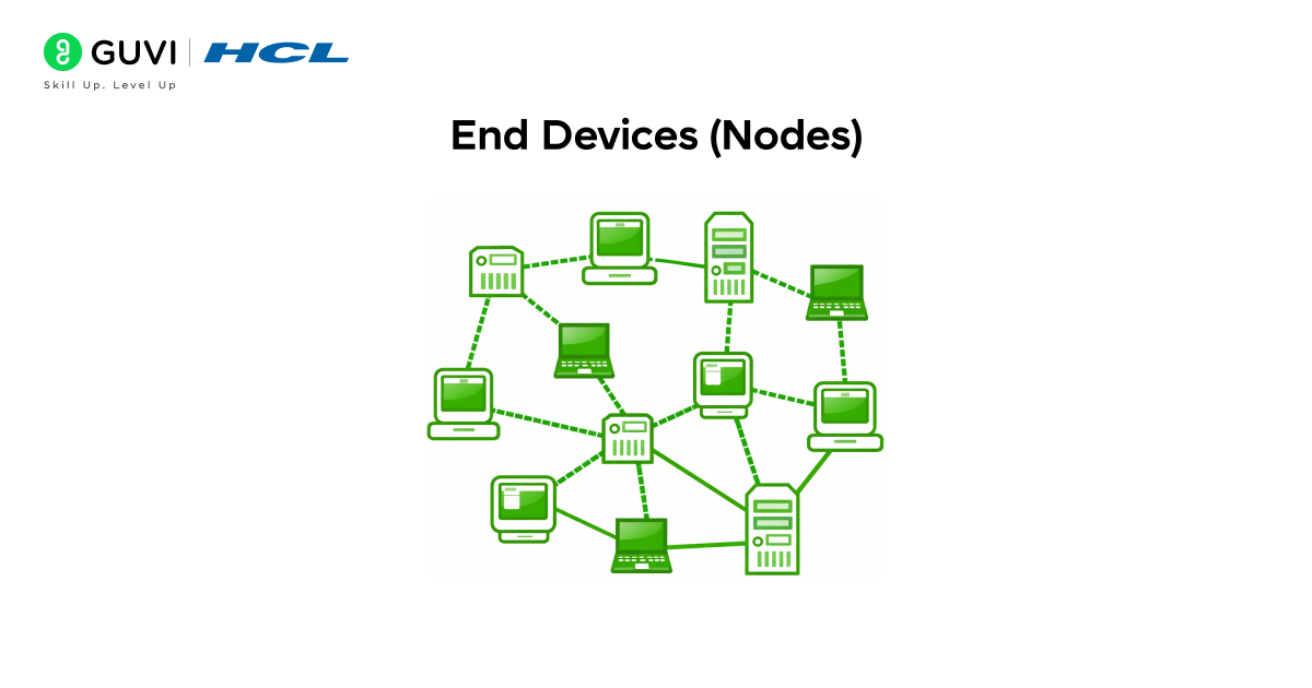 End Devices (Nodes)