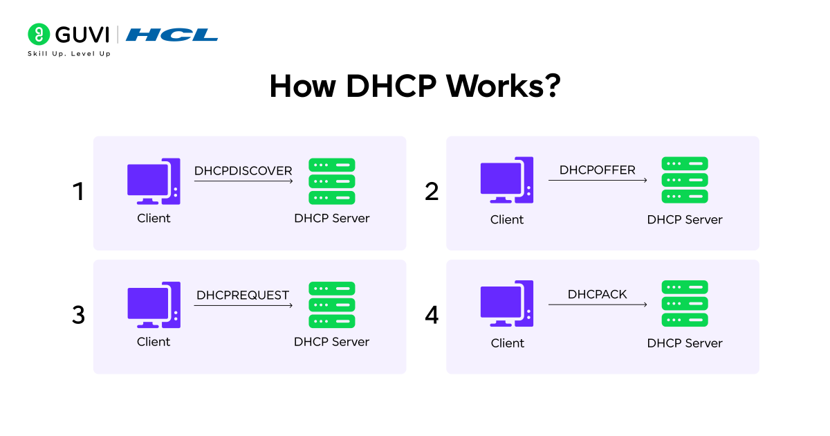 Infographic showing how a DHCP works.