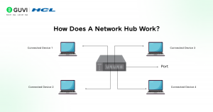 Hub in Computer Networks Explained: Best Beginner's Guide in 2026