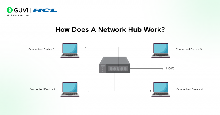 Hub in Computer Networks Explained: Best Beginner's Guide in 2026