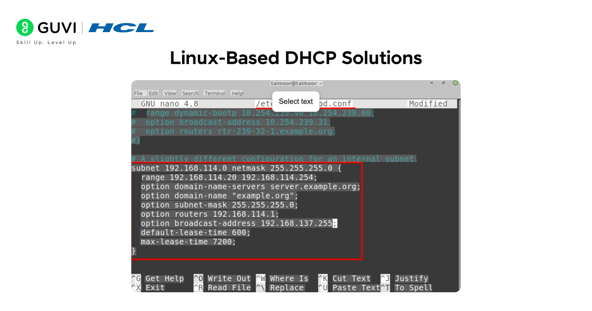 Infographic showing Linux-based DHCP solutions.