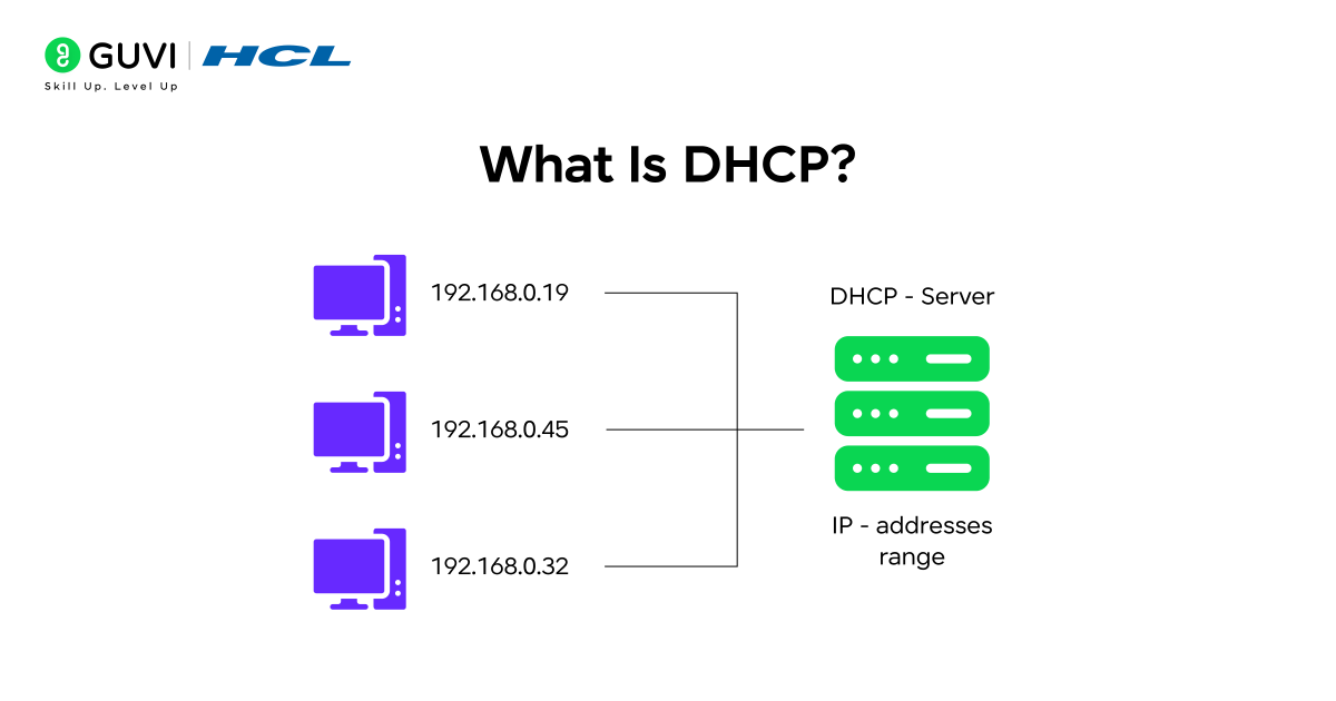 Infographic of a DHCP.
