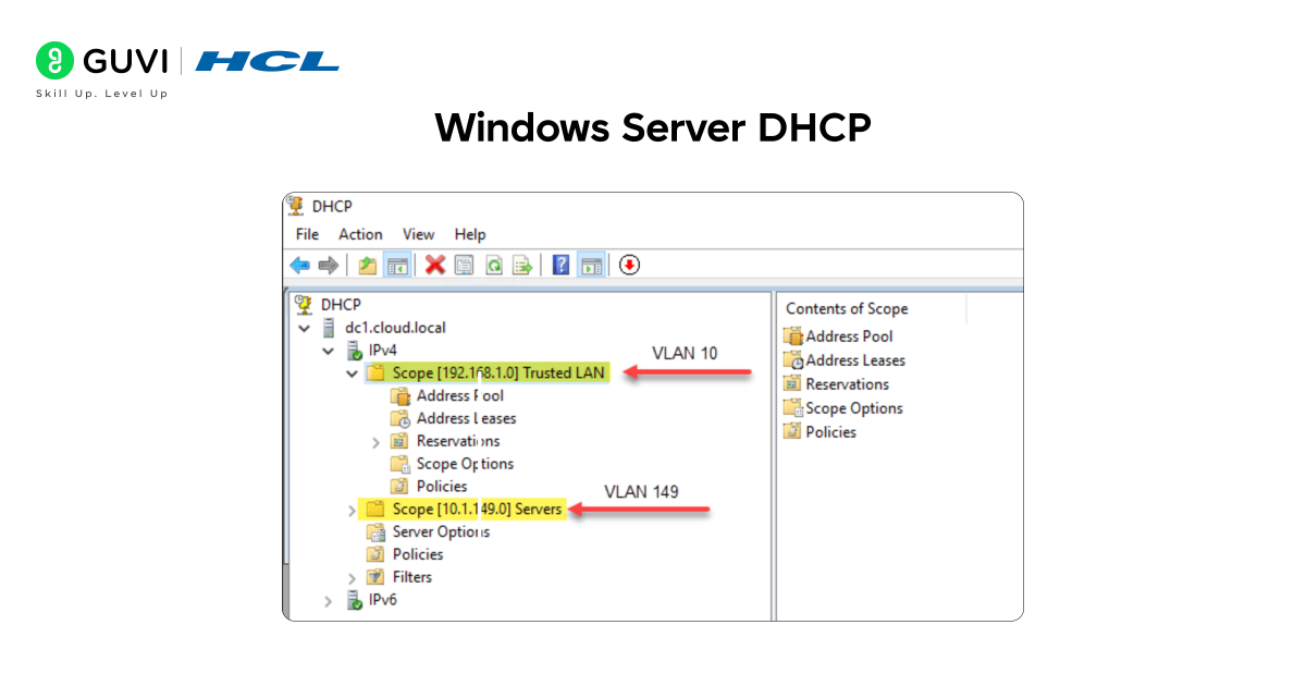 Infographic showing windows server DHCP.