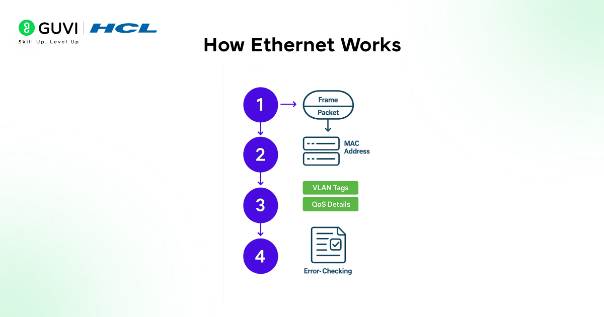 Infographic showing how an ethernet works.