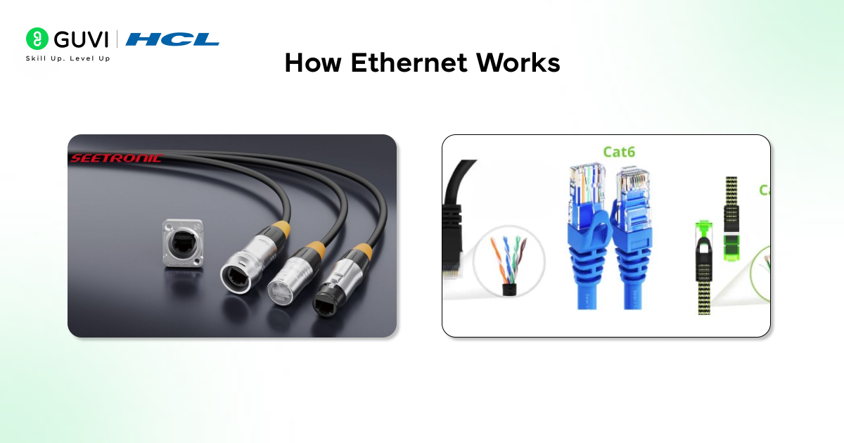 Illustration showing the cables and connecters that are used in the ethernet