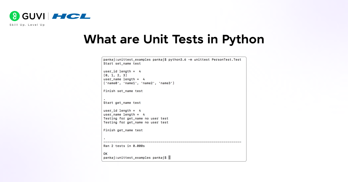 Infographic showing unit tests in python