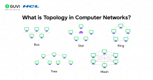 Topology in Computer Networks: Complete Guide & Types