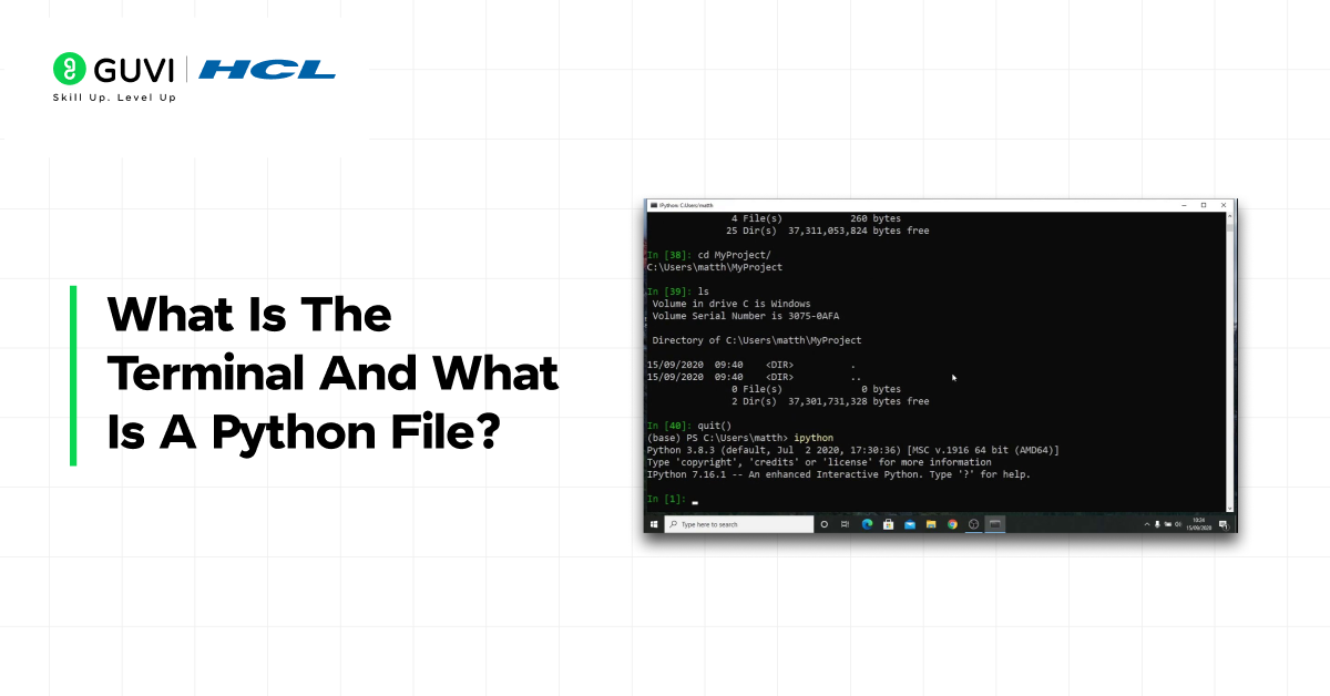 Infographic showing what is the terminal and what is a python file .