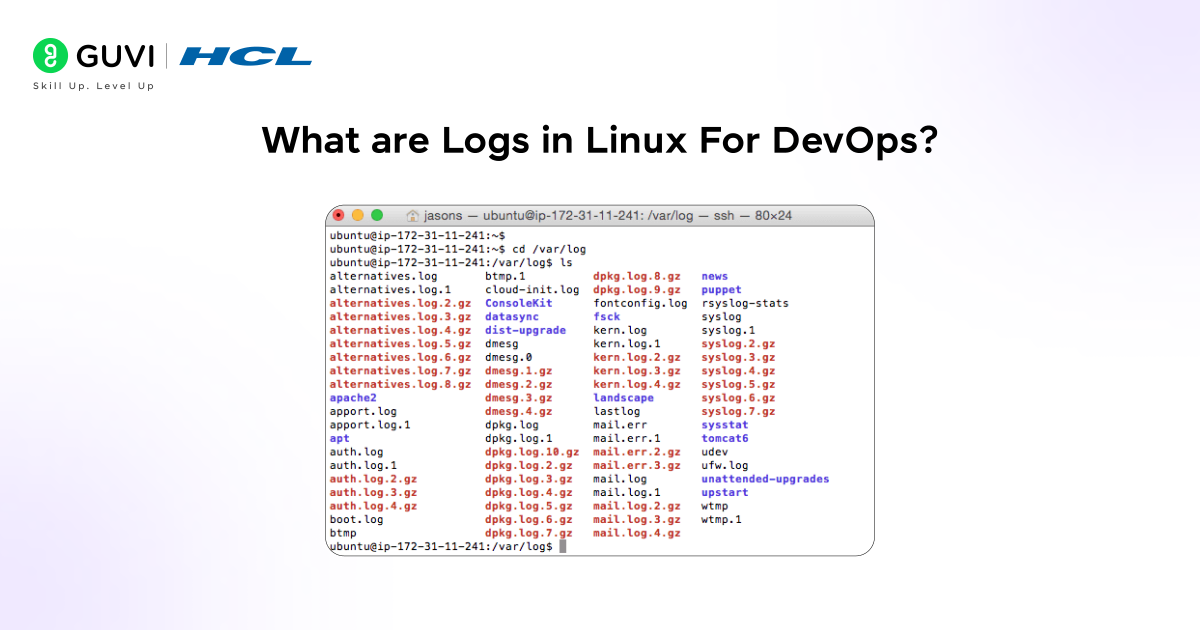 Infographic showing what are logs in linux for DevOps