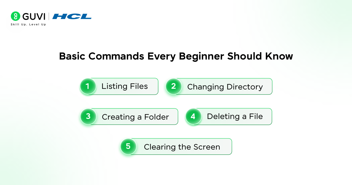 What is a Command Line Interface? Complete Guide to Command Line Prompt 2 Basic Commands Every Beginner Should Know