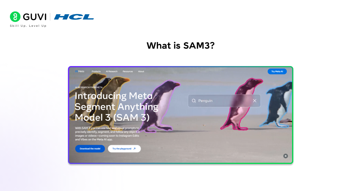 SAM3 by Meta: Text-Prompted Image Segmentation Tutorial 1 What is SAM3