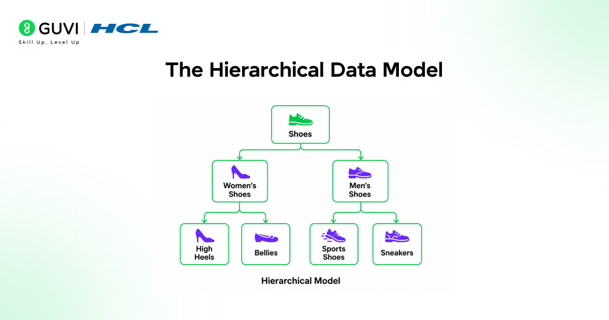 Data Models in DBMS: A Complete Beginner's Guide 1 The Hierarchical Data Model