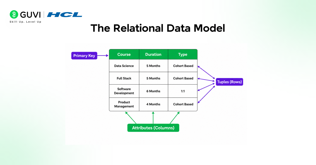 Data Models in DBMS: A Complete Beginner's Guide 3 The Relational Data Model