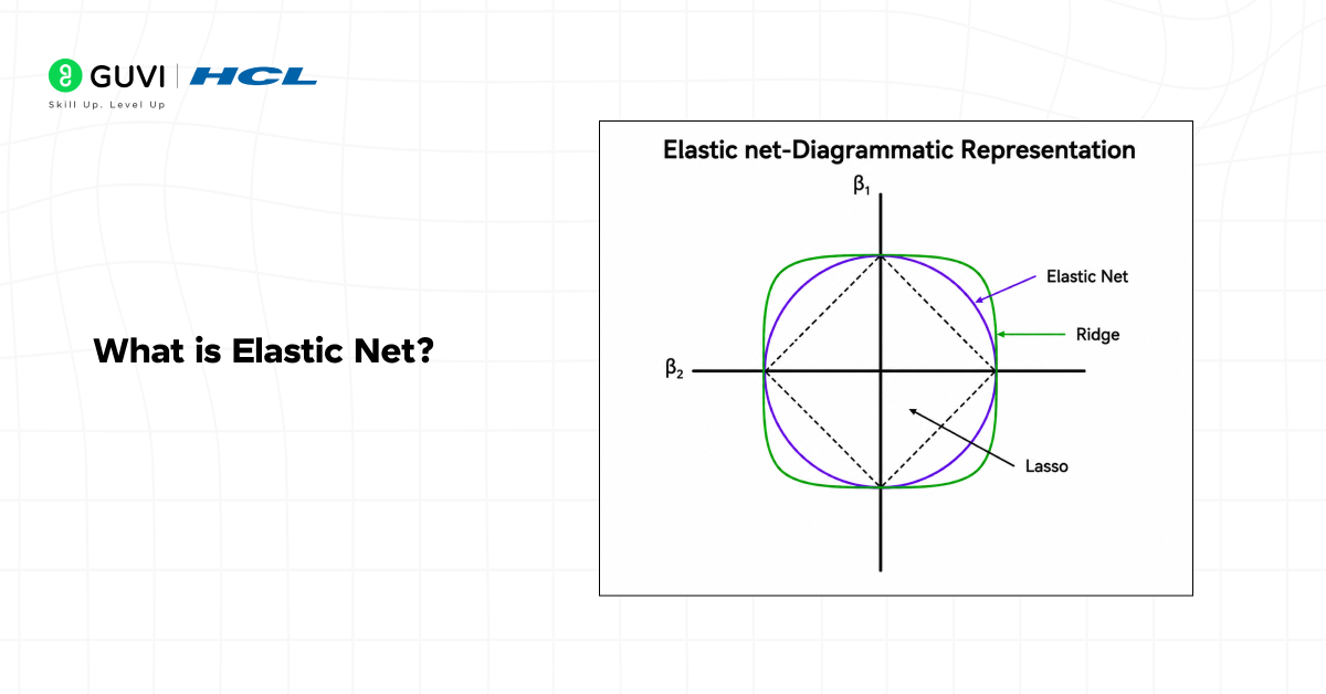 What is Elastic Net?