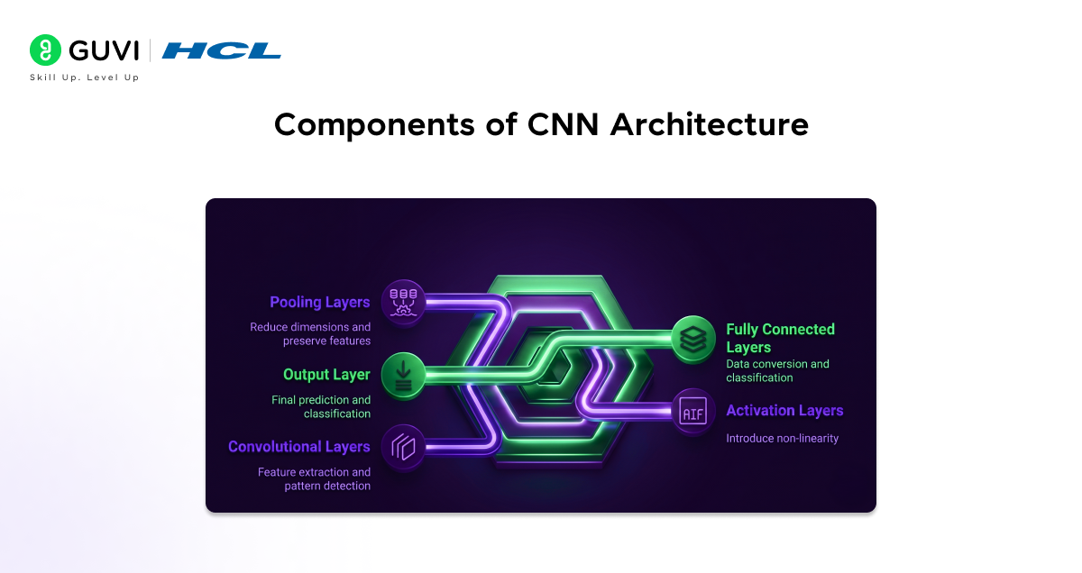 A Complete Guide to Convolutional Neural Network Architecture in Deep Learning 2 Components of CNN Architecture