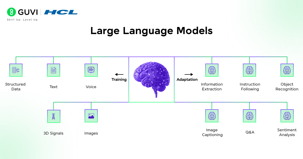 Type 1: Large Language Models