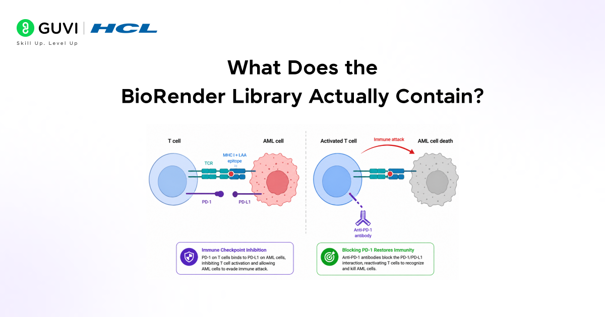 What Does the BioRender Library Actually Contain