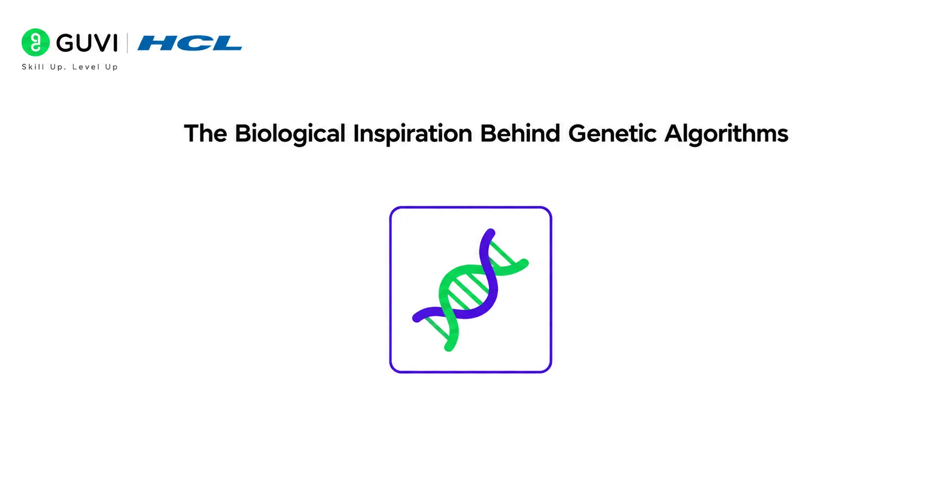 Genetic Algorithms: Nature-Inspired Optimization Explained 1 The Biological Inspiration Behind Genetic Algorithms