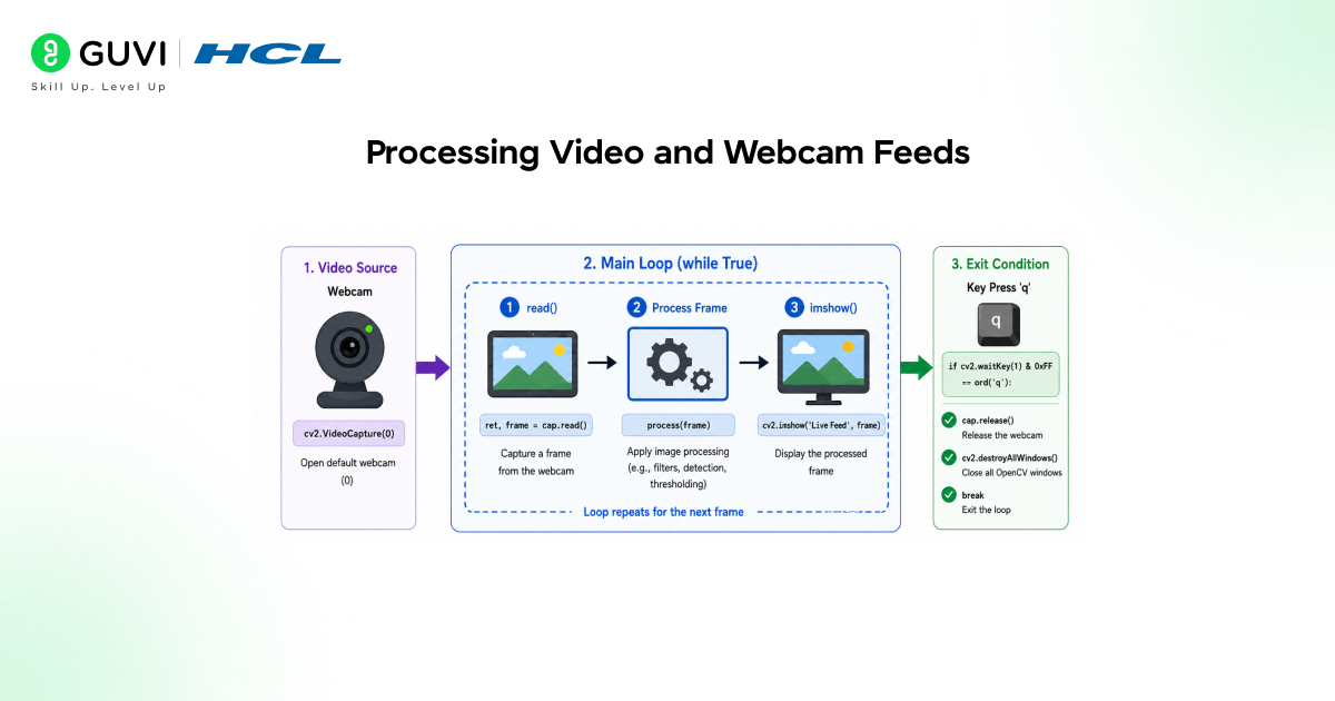 Processing Video and Webcam Feeds