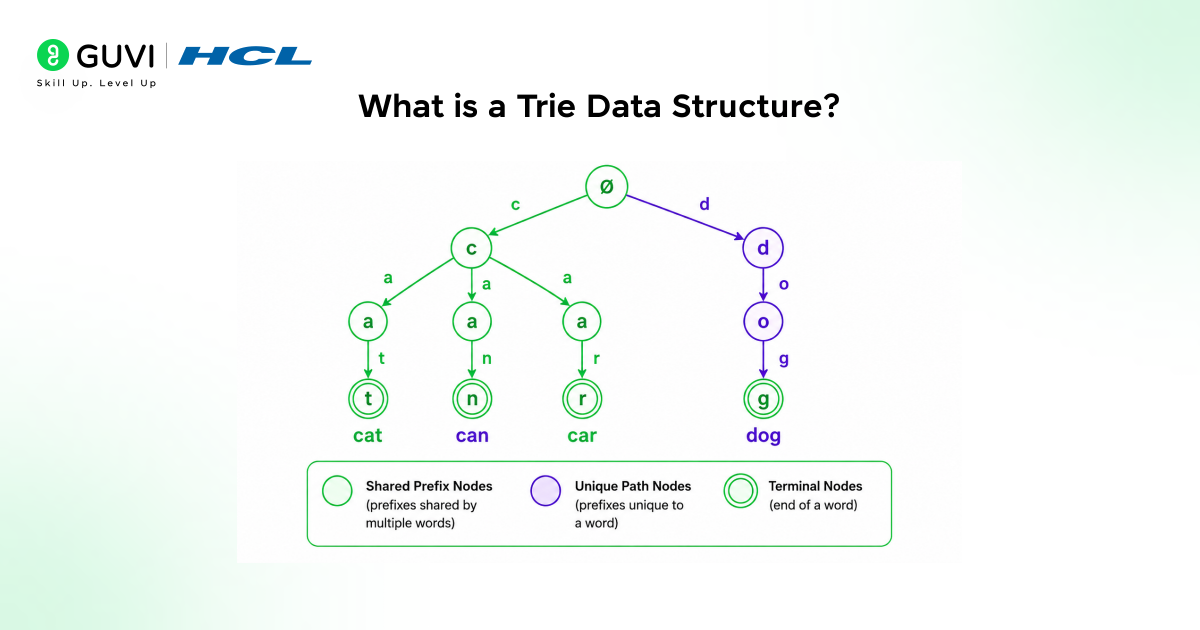 What is a Trie Data Structure?